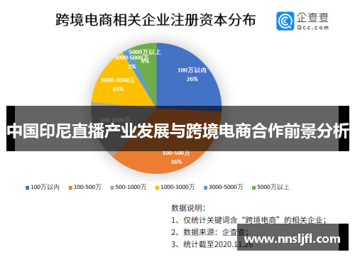 中国印尼直播产业发展与跨境电商合作前景分析 中国印尼直播产业发展与跨境电商合作前景分析