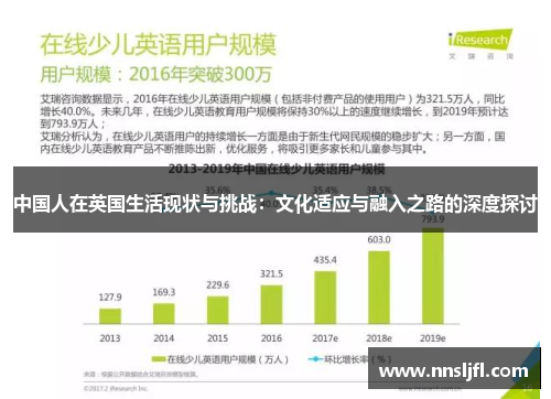 中国人在英国生活现状与挑战：文化适应与融入之路的深度探讨