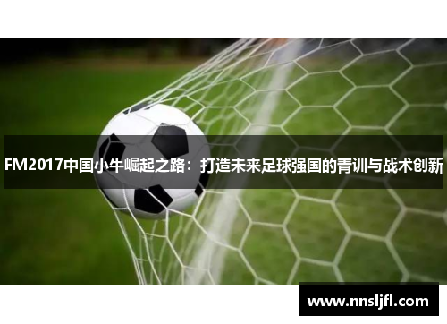 FM2017中国小牛崛起之路：打造未来足球强国的青训与战术创新