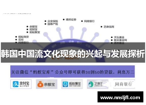 韩国中国流文化现象的兴起与发展探析